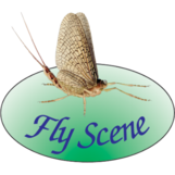 Fly Scene Tying Tools