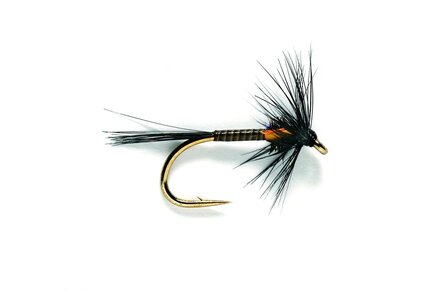 Fulling Mill Black Traffic Light Cruncher