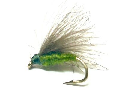 CDC Segde Olive Body