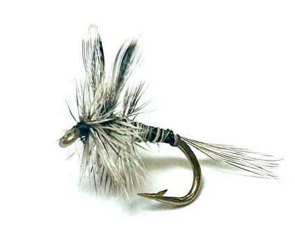 Mosquito