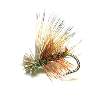 Elk Hair Caddis Olive Body