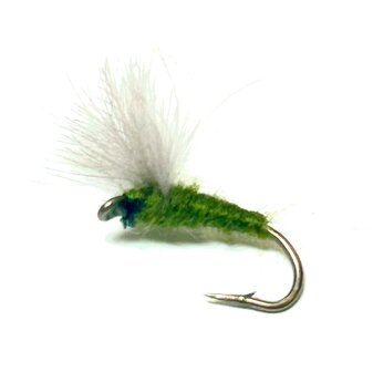 CDC Comparadun Olive