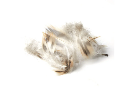 Poseidon 'Peute' Feathers