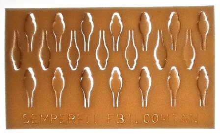 Semperfli Foam Realistic Natural Beetle Bodies Tan