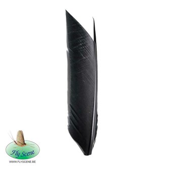 Fly Scene Condor Substitute