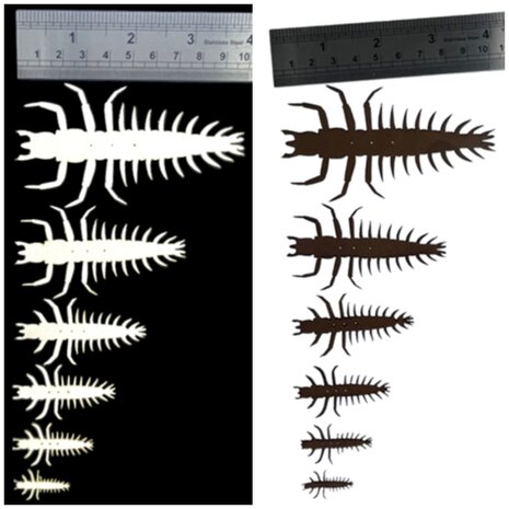 Semperfli ABC Hellgrammite Nymphs