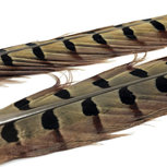 FASNA FLYFISHING - Pheasant Tails