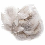 Wapsi Barred Mallard Flank