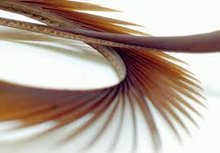 Semperfli Inferno Goose Biots