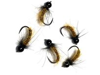 Caddis Pupa Caddis Amber