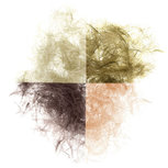 Soldarini CDC Dubbing Soldarini CDC Dubbing