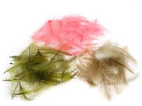 CDC Feathers Poseidon