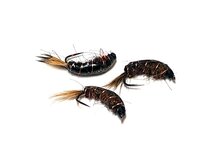 Shrimp Dark Brown