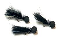 Booby Cormorant Black