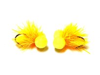 Booby Competition Sunburst  / Yellow Eyes