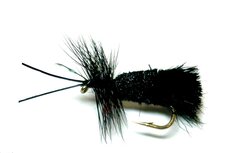 Goddard Sedge Black
